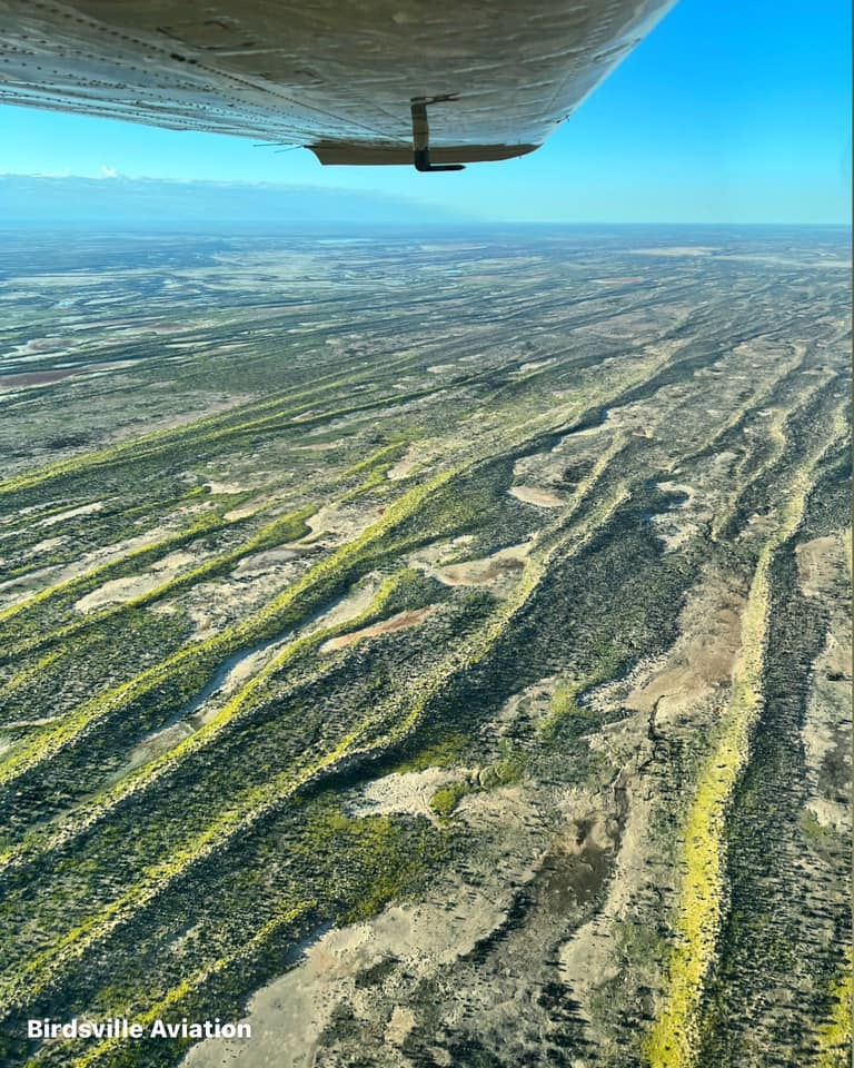 Scenic flights from Birdsville